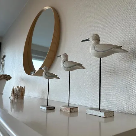 Den Oever V 0306 * Nieuwpoort